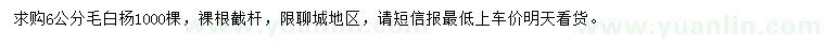 求購6公分毛白楊