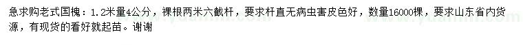 求購1.2米量4公分老式國槐