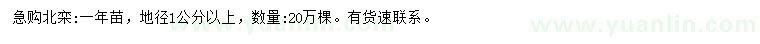 求購(gòu)地徑1公分以上北欒