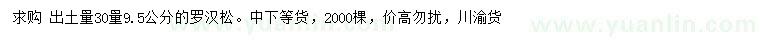 求購30量9.5公分羅漢松