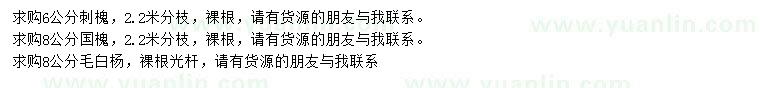 求購刺槐、國槐、毛白楊