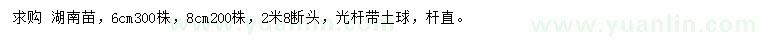 求購6、8公分杜英