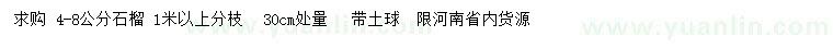 求購4-8公分石榴