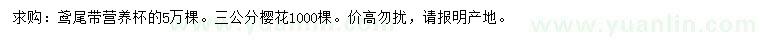 求購(gòu)鳶尾、3公分櫻花
