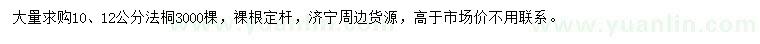 求購10、12公分法桐