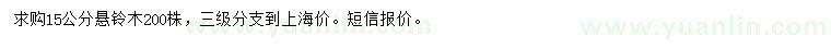 求購15公分懸鈴木