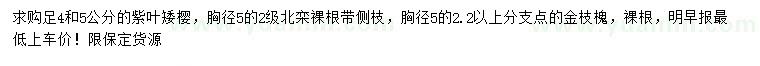 求購紫葉矮櫻、北欒、金枝槐