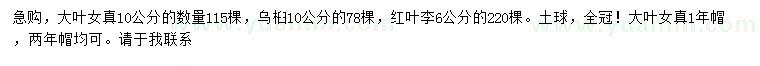求購大葉女貞、烏桕、紅葉李