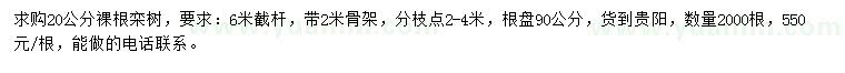 求購20公分欒樹