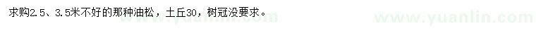 求購(gòu)2.5、3.5米油松