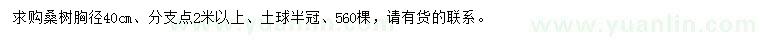 求購(gòu)胸徑40公分桑樹(shù)