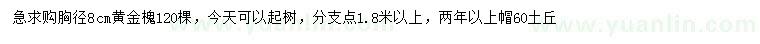求購(gòu)胸徑8公分黃金槐