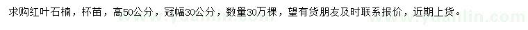 求購(gòu)高50公分紅葉石楠