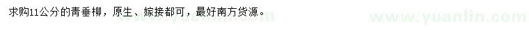 求購11公分青垂柳