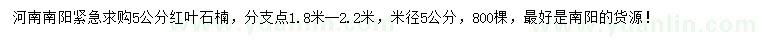 求購米徑5公分紅葉石楠