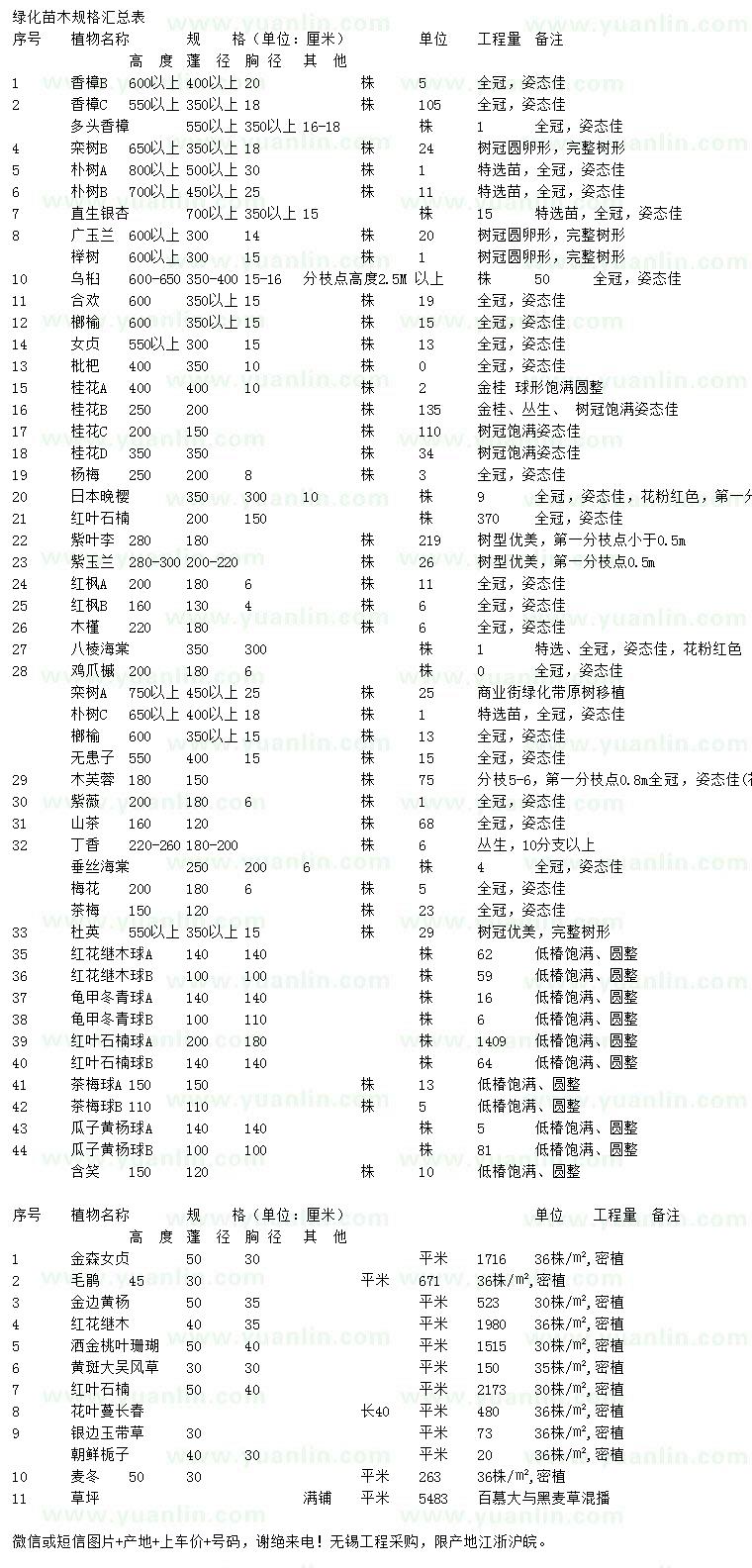 求購香樟、欒樹、樸樹等