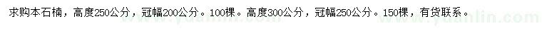 求購高度250、300公分本石楠