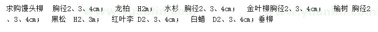 求購饅頭柳、龍柏、水杉等