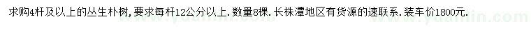 求購(gòu)4桿及以上叢生樸樹