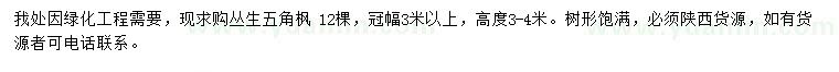 求購冠幅3米以上五角楓