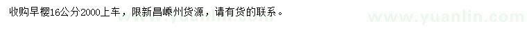 求購16公分早櫻