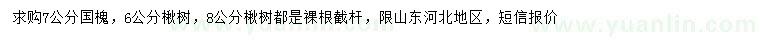 求購(gòu)7公分國(guó)槐、6、8公分楸樹(shù)