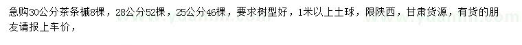 求購25、28、30公分茶條槭