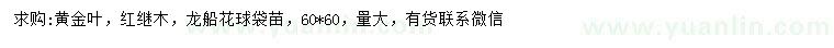 求購黃金葉、紅繼木、龍船花