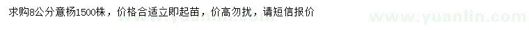 求購(gòu)8公分意楊