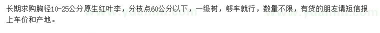 求購胸徑10-25公分紅葉李