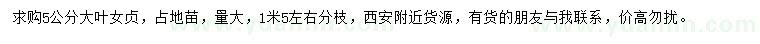 求購5公分大葉女貞