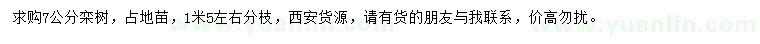 求購7公分欒樹