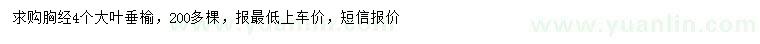 求購(gòu)胸徑4公分大葉垂榆