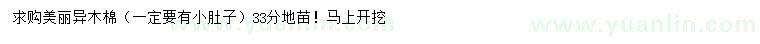 求購(gòu)33公分美麗異木棉