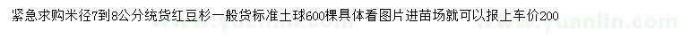 求購米徑7-8公分紅豆杉