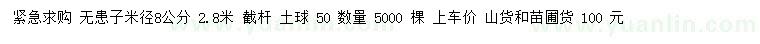 求購米徑8公分無患子