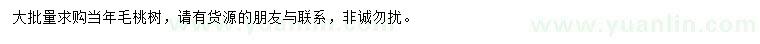 求購當年毛桃樹