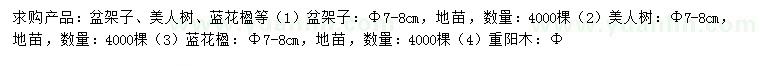 求購(gòu)盆架子、美人樹(shù)、藍(lán)花楹等