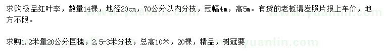 求購地徑20公分紅葉李、20公分國槐
