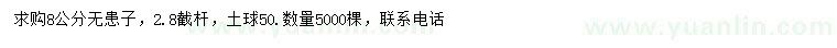 求購8公分無患子