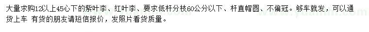 求購12公分以上紫葉李、紅葉李