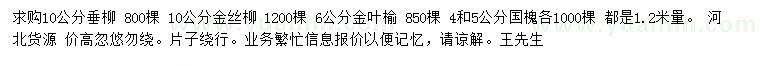 求購垂柳、金絲柳、金葉榆等