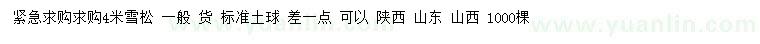 求購4米雪松