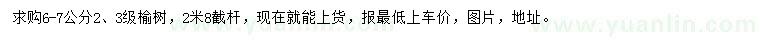 求購6-7公分榆樹