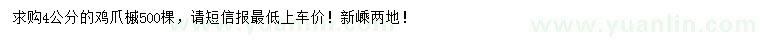 求購4公分雞爪槭