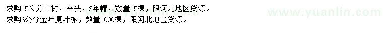 求購15公分欒樹、6公分金葉復(fù)葉槭