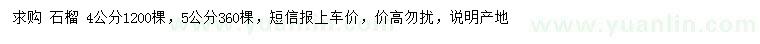 求購(gòu)4、5公分石榴
