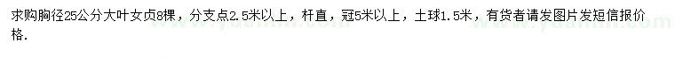求購胸徑25公分大葉女貞