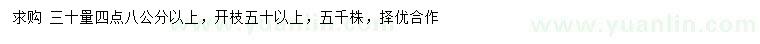 求購30量4.8公分以上紅梅