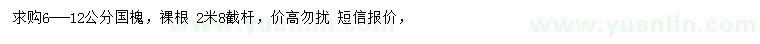 求購6-12公分國槐